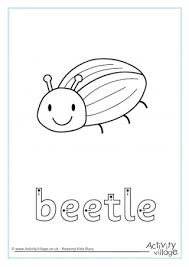Beetles The scarab 16 and 18 are for protected waters only. beetles