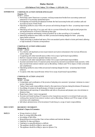 corporate action resume samples