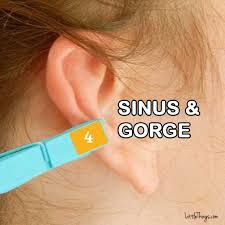 We Like You Sinusitis Ear Reflexology Clothes Pins