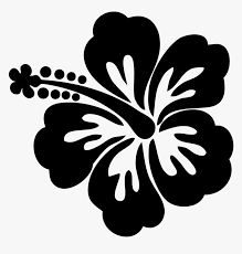 Shoeblackplant Silhouette Hawaiian Hibiscus Clip Art Hawaiian Flower Black And White Hd Png Download Transparent Png Image Pngitem 25 images of hibiscus clipart black and white. shoeblackplant silhouette hawaiian