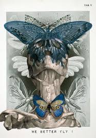 Digital Anatomy Portraits By Isabelle Dalle Skull Art Anatomy Art Art