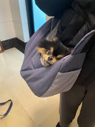 We did not find results for: Soo Choi 2 21 On Twitter Taehyung Bts Dogs Bts