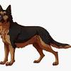 Kawaii puppy dog follow along art. Https Encrypted Tbn0 Gstatic Com Images Q Tbn And9gcsj8xg1kcho8ks2iisqu7xf5lkwf6otwgawlktb6gpctczmmtrl Usqp Cau