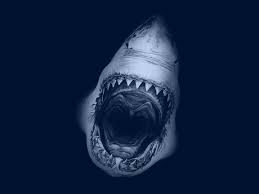 Can you maybe do a purple shark wallpaper?? Free Download Shark Ever Megalodon Shark Size Great White Shark Mouth Open 1152x864 For Your Desktop Mobile Tablet Explore 46 Gym Shark Wallpaper Free Shark Wallpaper Live Shark Wallpaper