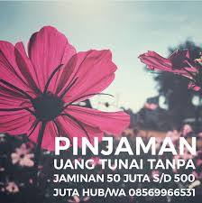 Proses pinjaman cepat, kta bunga rendah, pinjaman tunai cukup modal ktp. Proses Cepat Kredit Tanpa Agunan Kta 5 Juta Sampai 500 Juta Di Jakarta Pusat Hub Wa 08569966531 By Jasa Pinjaman Dana Tunai Tanpa Jaminan Jakarta Medium