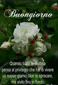 We did not find results for: Immagini Buongiorno Gratis Per Whatsapp 11 Buongiorno Auguri Di Buongiorno Buongiorno Bellissimo