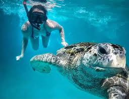 3 x 3d2n full board package for two (t&c apply). 2021 Promo 3d2n Redang Laguna Resort Snorkeling Package Holidaygogogo