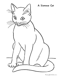 Free Printable Siamese Cat Coloring Page Cat Coloring Book Cat Coloring Page Animal Coloring Pages