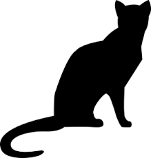 Kahve Falinda Kedi Gormek