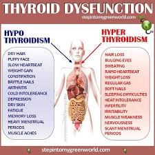 Hyper Hypo Thyroidism Thyroid Health Thyroid Disease Healthy Thyroid