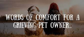 Sayings for loss of pet. 50 Beautiful Loss Of Pet Quotes Love Lives On
