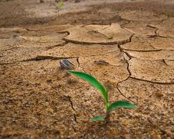 Causas y consecuencias del cambio climático. Las Causas Del Cambio Climatico Eco Turismo