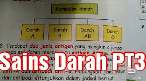 Ia juga boleh digunakan untuk mewakili surat kelas anda menerima pada ujian atau apabila meminta jawaban. Kumpulan Darah Manusia Youtube