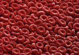 Overavtivity of clotting factors atau faktor pembekuan secara hyperactive juga adalah punca utama masalah darah pekat. Apa Itu Darah Pekat Punca Simptom Dan Rawatannya Sentiasa Panas