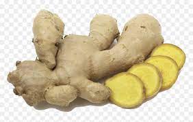 Ginger ginger (zingiber officinale) is a flowering plant whose rhizome, ginger root or simply ginger, is widely used as a spice or a folk medicine. Transparent Ginger Png Dry Ginger Png Png Download Vhv