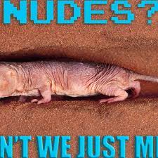 Canadian Campaign Wants Teens To Send Naked Mole Rat Pics