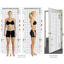 Postural Analysis Grid Chart Health Chart Space Savers Postures