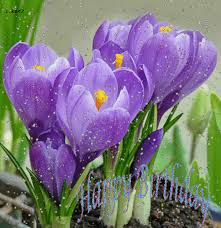 Http Img1 Picmix Com Output Pic Original 4 1 9 2 4312914 2f9b9 Gif Crocus Flower Unusual Flowers Amazing Flowers