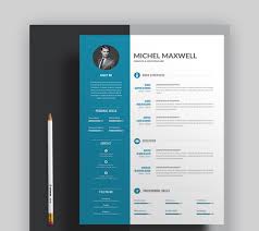 Why use a resume template? 39 Professional Ms Word Resume Templates Cv Design Formats