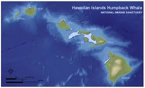 Reading Charts Fundamentals Of Options Trading Honolulu