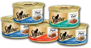 Pin By Josette On Things For My Cat Cat Food Coupons Cat Food Brands Food