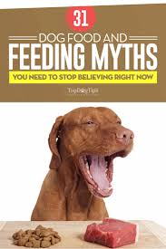 'overt bastardization of the truth': 31 Dog Food And Feeding Myths Debunked By Science Infographic