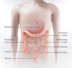 An enlarged or ruptured spleen can cause sudden or chronic pain under the left rib cage that ends up migrating towards the back and/or shoulders. Can Constipation Cause Pain Under The Right Rib Cage Quora