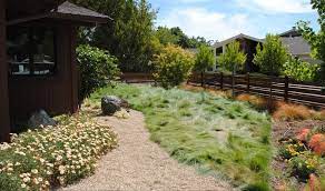 The more consumers request native plants, the more this supply is likely to grow. Native Grasses For Your Native Lawn Habitat Network