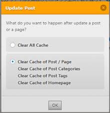 Wp Fastest Cacheの設定方法と使い方 アフィリエイト脱初心者宣言