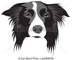 Black And White Collie Dog Clipart Collie Illustrations And Clipart 448 Collie Royalty Free Border Collie Art Dog Drawing Border Collie Dog