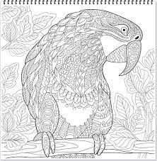 Download all the coloring sheets to create a mandala coloring book for your child. Papagei Mandala Ausmalbilder Zum Ausdrucken Parrot Mandala Coloring Page Free Printable