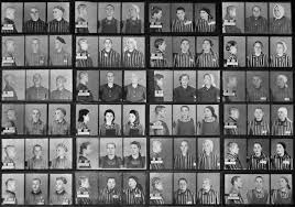 Feb 03, 2021 · häftling shlomo venezia musste in den gaskammern von auschwitz arbeiten. Opferzahlen Der Konzentrationslager Auschwitz Wikipedia