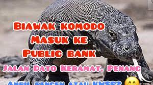 Senarai bank di malaysia 2020 january 20. Monitor Lizard Lost It Way Into Bank Which Cause Uproar In The Bank Everydayonsales Com News