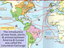 Although more things were brought to the new world, i think the. Essential Question What Were The Global Impacts Of The European Age Of Exploration Warm Up Question What Was The Columbian Exchange What Is Mercantilism Ppt Video Online Download