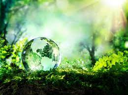 Constituintes do meio ambiente a atmosfera, que protege a terra do excesso de radiações ultravioleta e permite a existência de vida, é. 5 De Junho Dia Mundial Do Meio Ambiente Biologia Net
