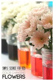 We did not find results for: Simple Science For Kids Color Changing Flowers