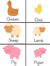 Baby Farm Animal Match Up Farm Animals Preschool Farm Theme Preschool Farm Preschool