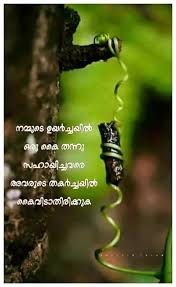 Check spelling or type a new query. Malayalam Love Quotes Friends Family Sad Happy Feeling Kerala Malayalam Facebook