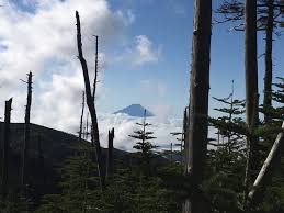 Hij ligt 112 kilometer ten zuidwesten van de japanse hoofdstad tokio en is van daaruit zichtbaar bij helder weer en geringe. Mt Kimpu Kofu 2021 All You Need To Know Before You Go With Photos Tripadvisor