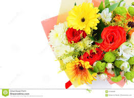Für wirklich jeden anlass der richtige strauß: Blumenstrauss Von Bunten Blumen Im Weissen Hintergrund Stockfoto Bild Von Weissen Hintergrund 87392608