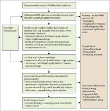 Guillain Barre Syndrome Sciencedirect