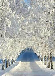 Maybe you would like to learn more about one of these? Notitle Winter Wonderland Notitle Winter Wonderland Winter Pictures Winter Scenery Winter Scenes