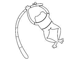Check spelling or type a new query. Desenho De Salto Com Vara Para Colorir Colorir Com