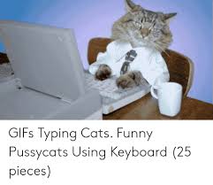 Gifs Typing Cats Funny Pussycats Using Keyboard 25 Pieces Cats Meme On Me Me