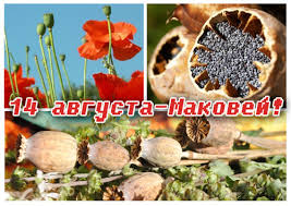 오빤 딱 내 스타일), куда была добавлена вокальная партия южнокорейской певицы хёны. S Prazdnikom Vas Odnoklubniki 14 Avgusta Makovyj Spas Soobshestvo Drive2 Konstantinovka Na Drive2