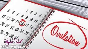 pin on مجلة الحلوة