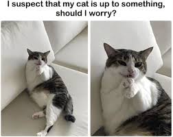 Image result for site:byggahus.se fundersam