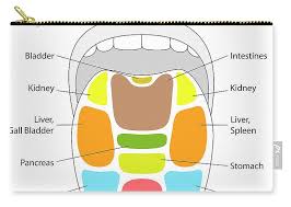 Tongue Reflexology Chart Carry All Pouch