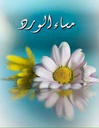 مساء الورد الغافي في أحضان المساء مساء الخير شعر Good Morning Gif Good Evening Beautiful Women Faces