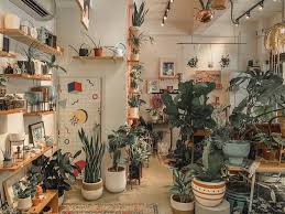 Even though it's easier than ever to buy plants online, keeping them alive is still a challenge. 14 Best Plant Shops In Singapore For Starting Your Indoor Garden
